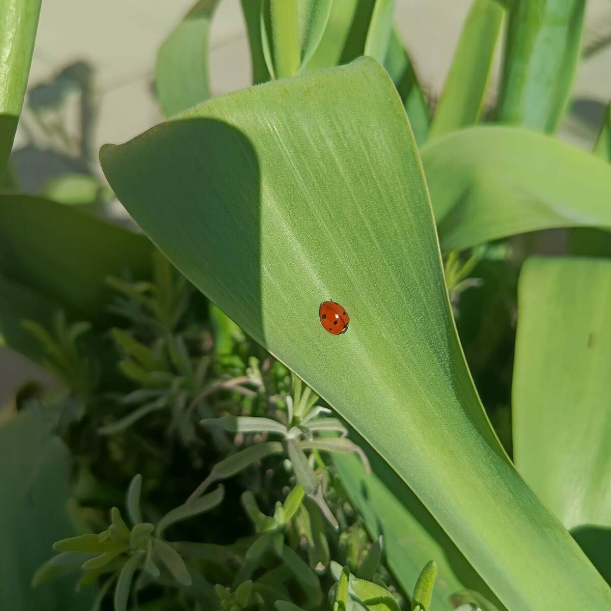 Фото сделал сын