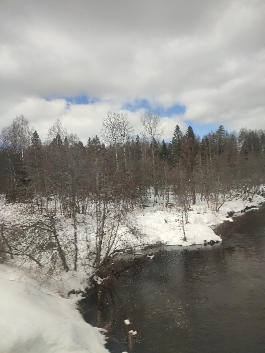 Берега р. Сольба 