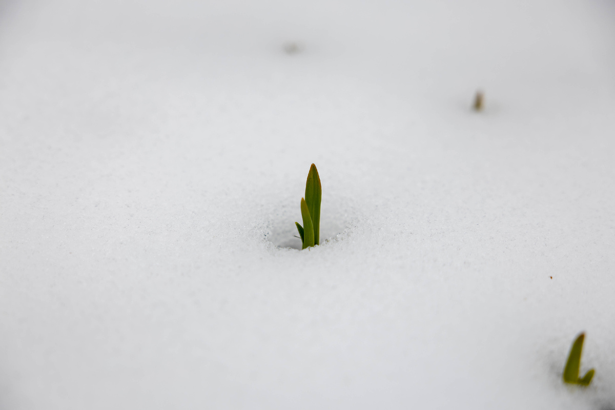 Фото автора 13.04.2025