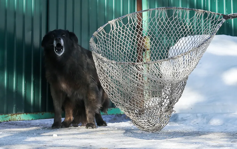 2022 год, Кемерово, Россия. С 2020 года в Кемерово действует программа ОСВВ