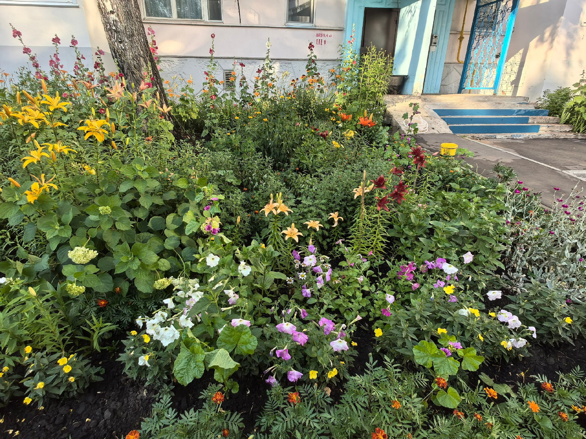 Набережные Челны 46/6