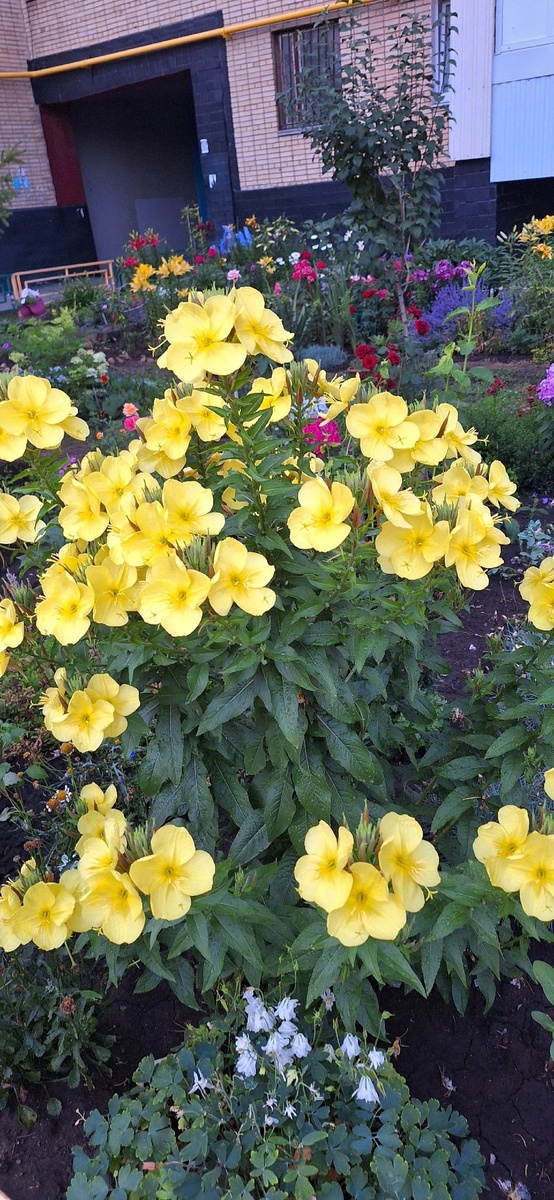 Набережны Челны, д. 70/10