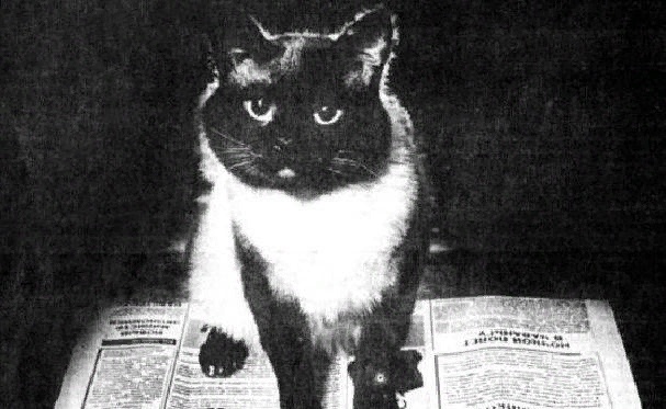 Единственное фото героя истории на фоне газетной статьи о нем же. Фотография из свободного доступа в интернете.