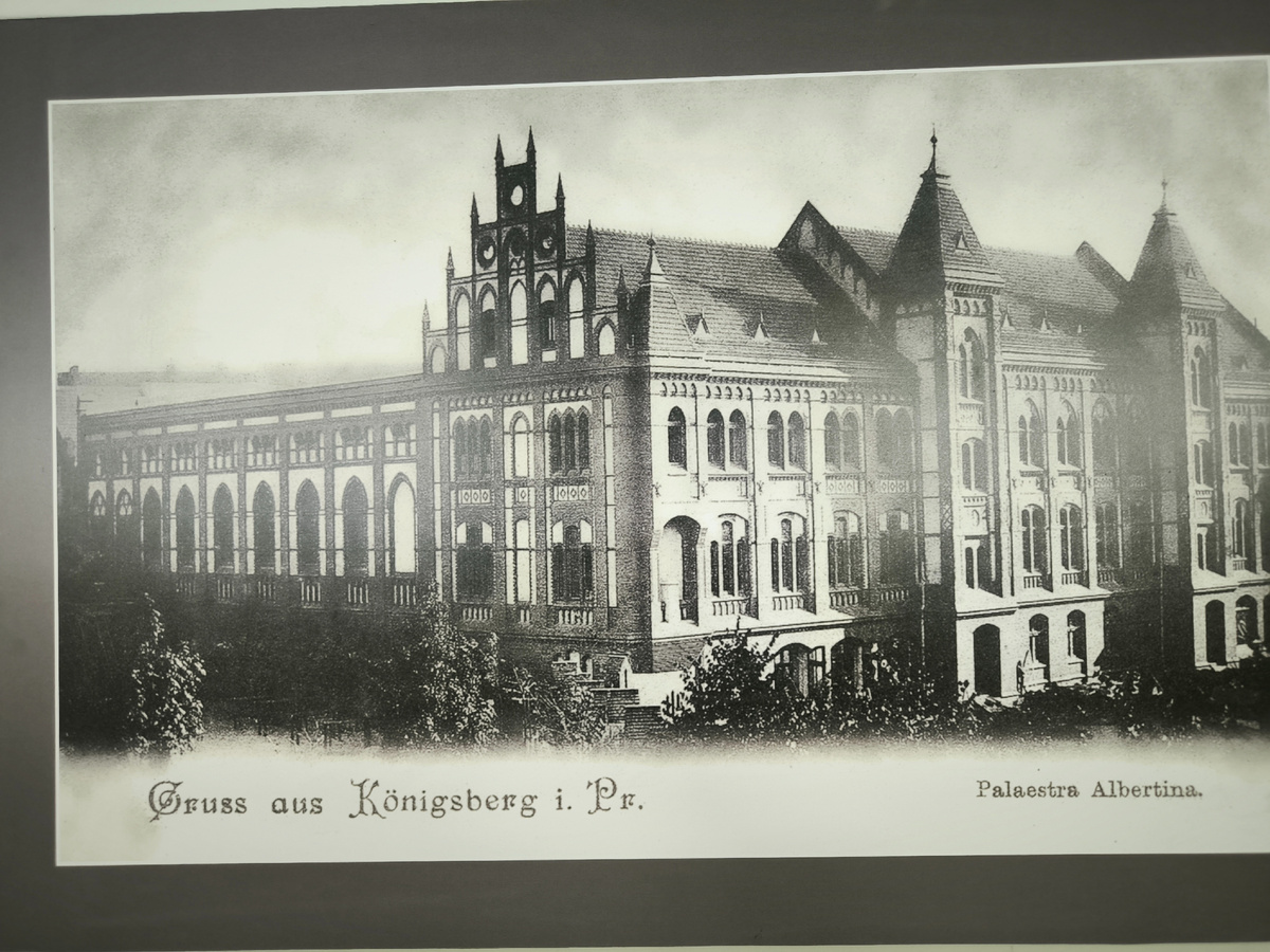 Палестра Альбертина