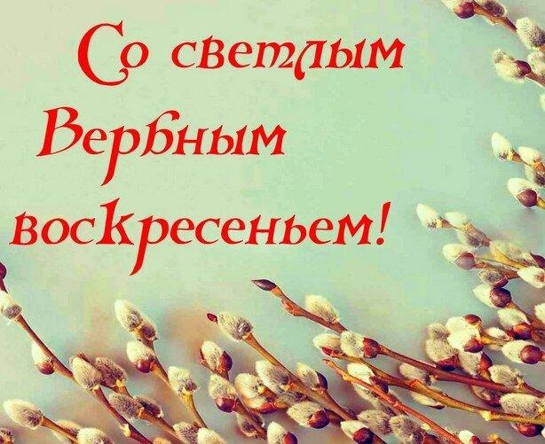 фото из интернета