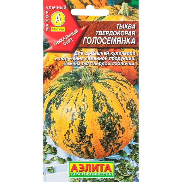 Такую тыкву хочу вырастить