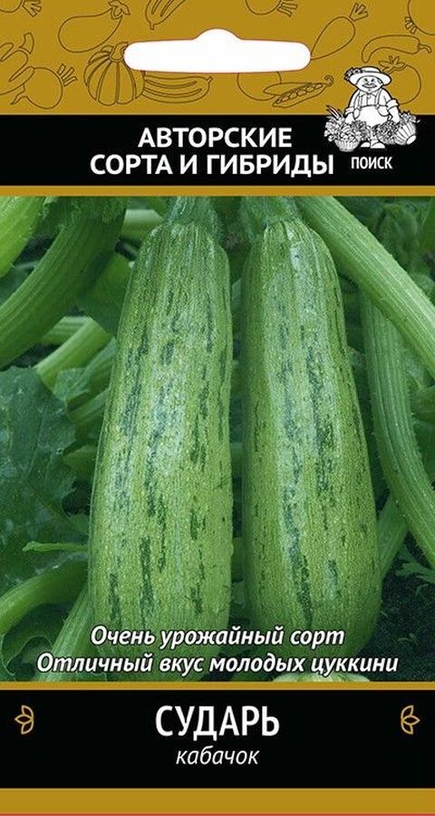 Кабачок Сударь