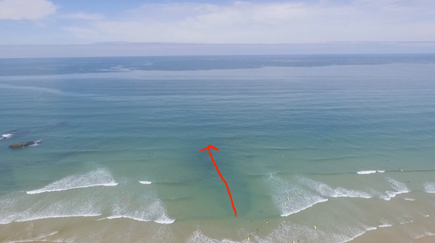 тягун , фото из интернета 