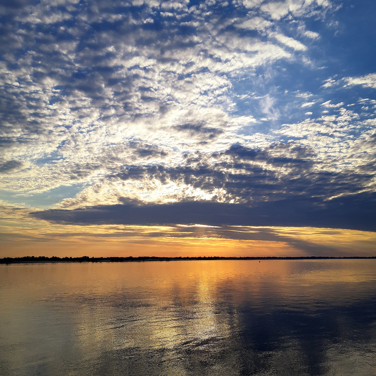 Воложка Куропатка - рукав Волги вокруг острова Сарпинского.