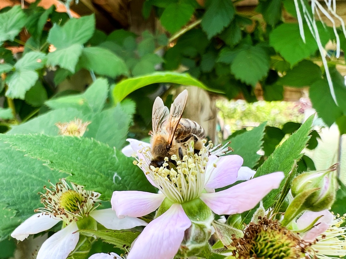 Как-то на так выглядит уединённость в станице? 