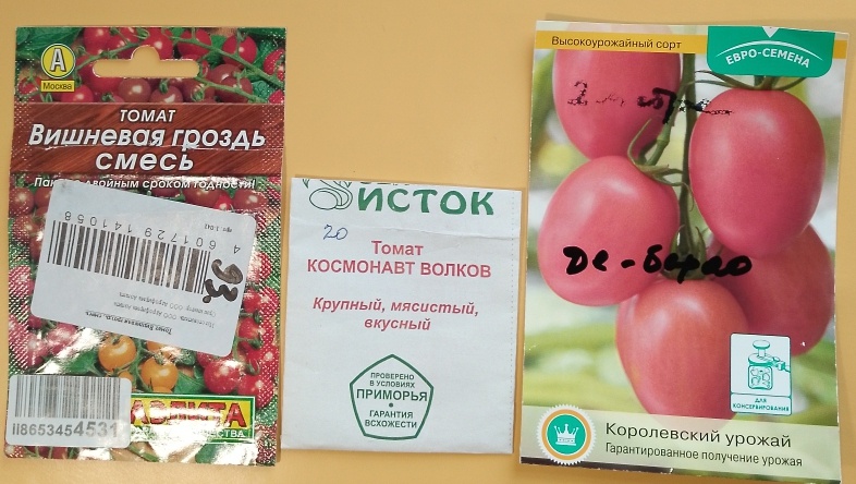 Помидоры высокорослые. Фото автора