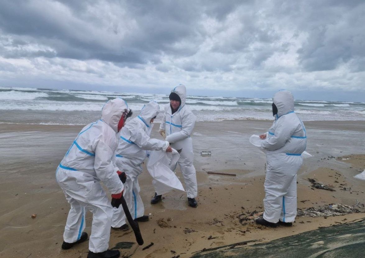 11 апреля, село Витязево, фотография из сообщения оперштаба Краснодарского края о выбросах на пляжах. Источник: t.me/opershtab23/13200