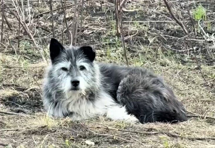     / Источник: Кадр из видео МЧС Башкирии