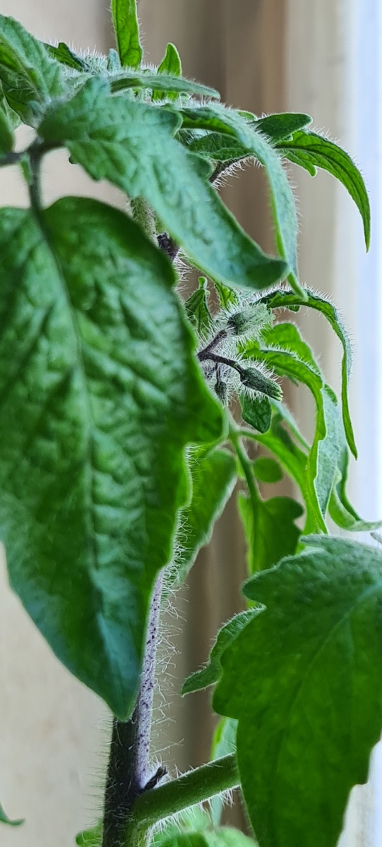 Рано ,но как красиво ))