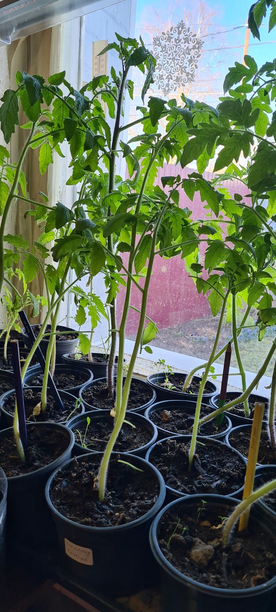 Куда вы ? В форточку выпрыгнуть намылились ))