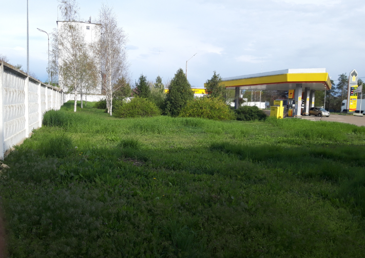 Фото автора. 11.04.2025.  Подходит время для работы триммера.