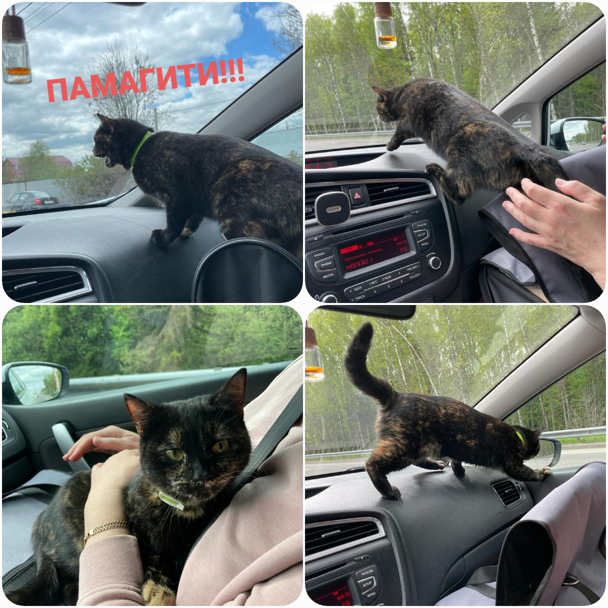 Фото автора.