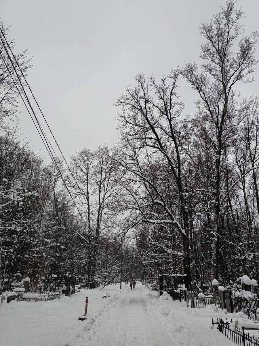 Серафимовское кладбище в Санкт-Петербурге / 8 января 2025 / Фотография из личного архива