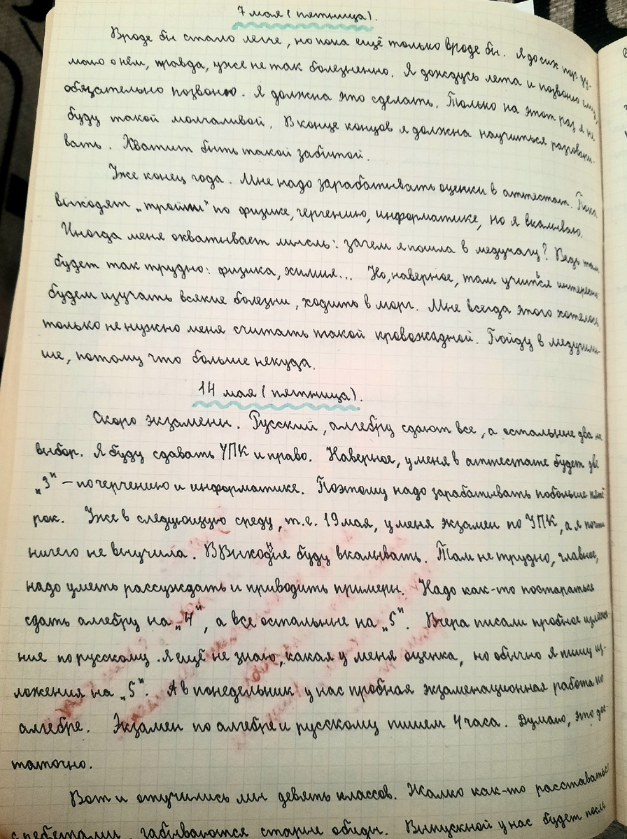 Из личного дневника автора. 