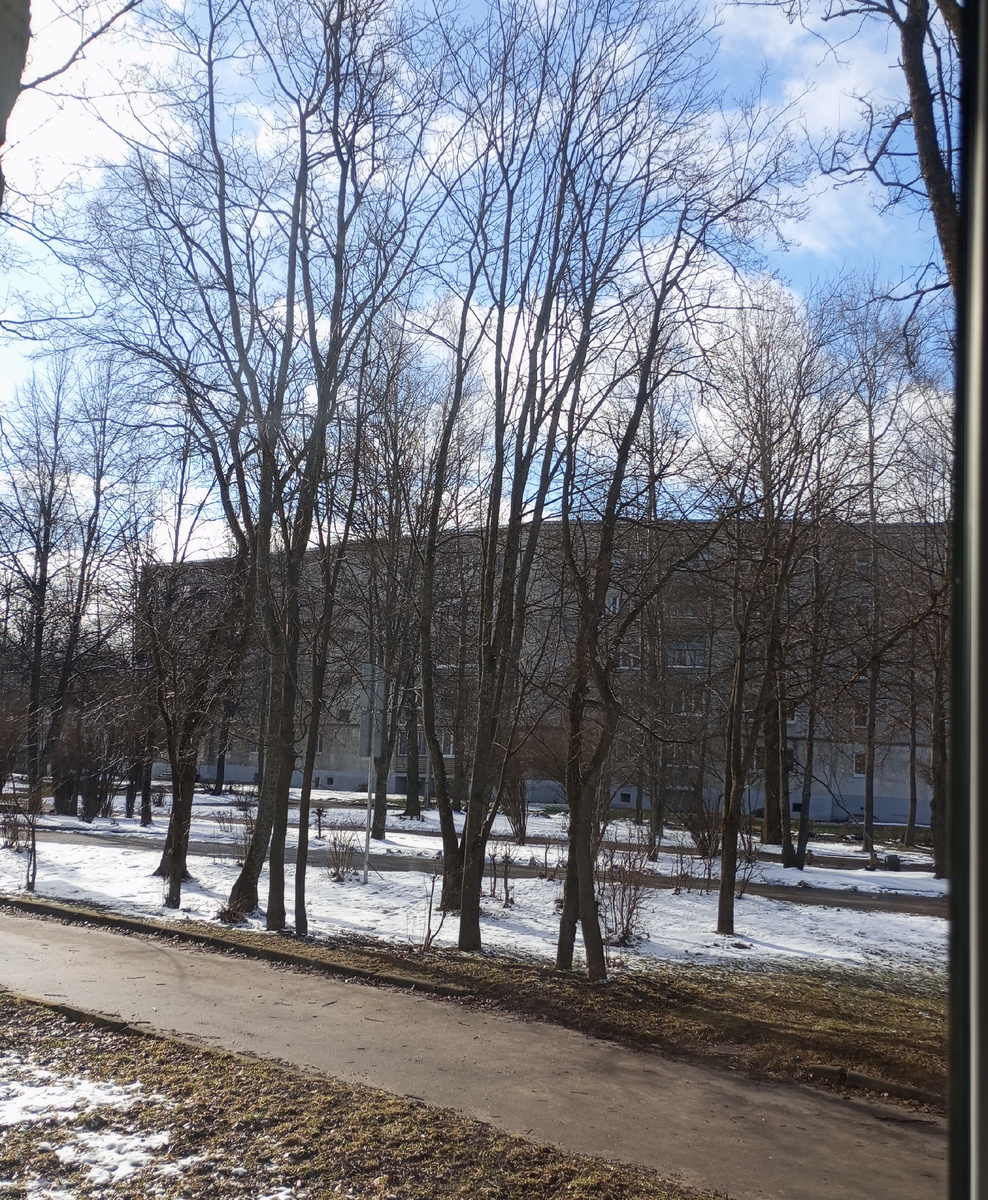 Погода налаживается. 