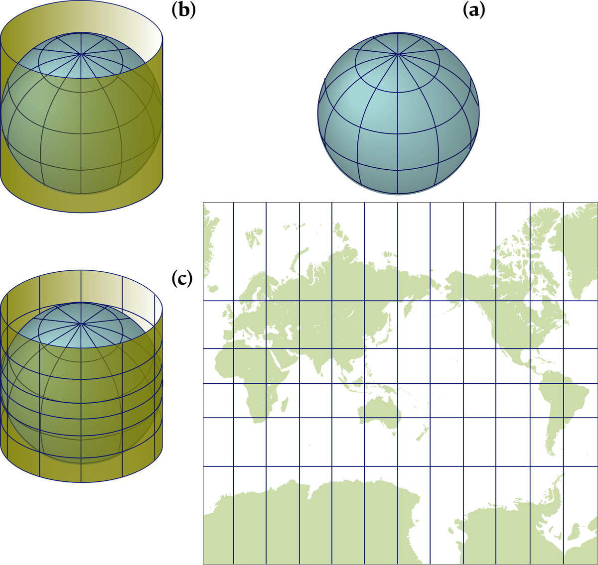 Построение проекции Меркатора. Понимание того, как возникают искажения, позволяет ясно осознать, что измерять расстояния следует только по вертикальной шкале. (a) Глобус с направлением на истинный север вверх. (b) Вокруг глобуса оборачивается цилиндр, касающийся (т.е. соприкасающийся) с ним по экватору. (c) Представьте источник света в центре Земли, который проецирует изображение глобуса на внутреннюю поверхность цилиндра. Затем цилиндр разворачивается в плоскость. Эта цилиндрическая проекция и составляет основу карты Меркатора.