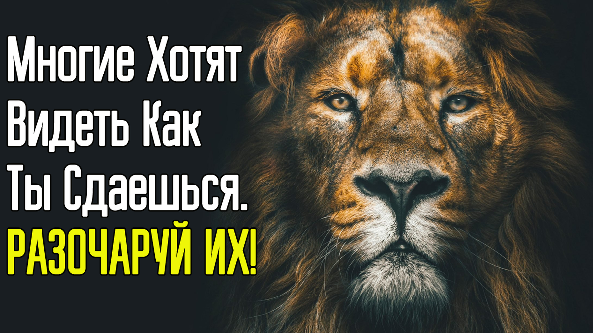 секрет успеха