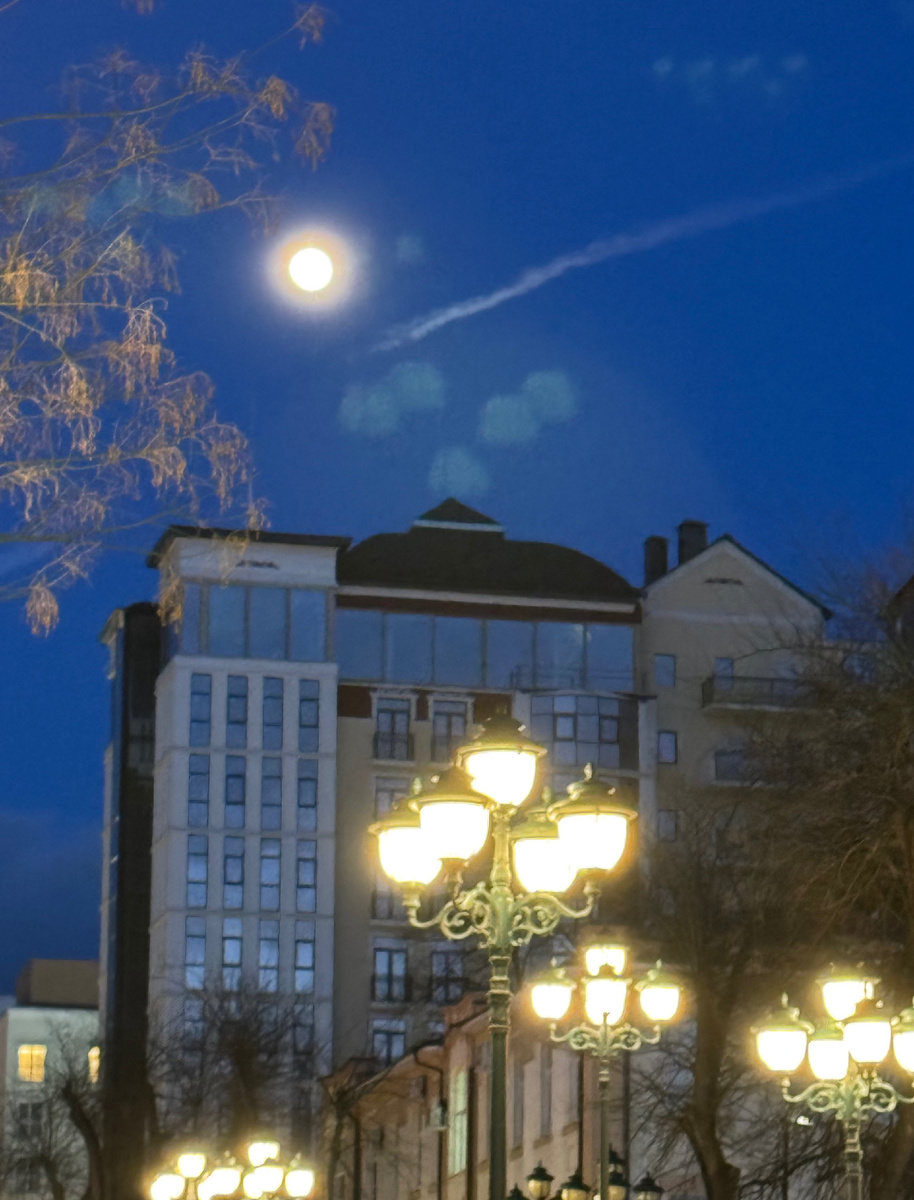 Полнолуние и полноФонарие на пр.Ленина, фото Сад в стиле Paradise @