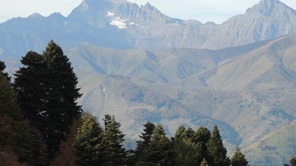    © Sputnik / Михаил Авагимов