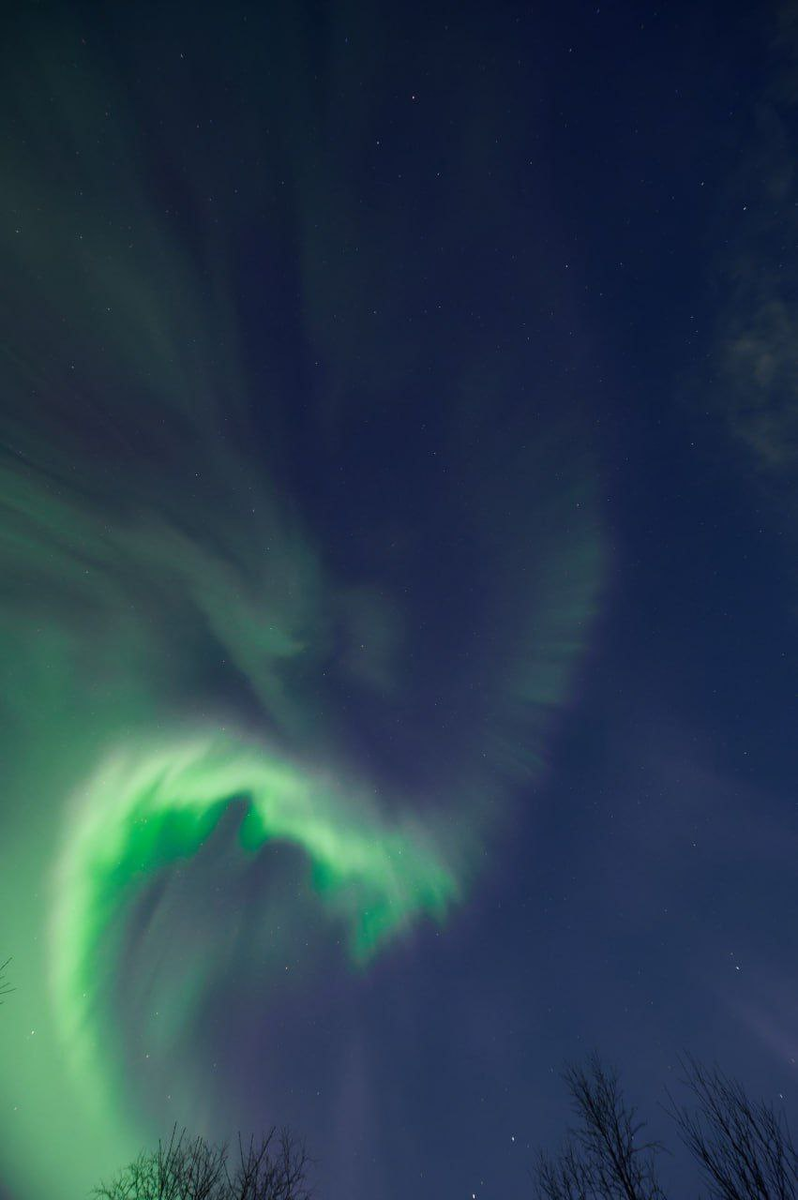 Авторы фото: Марина Юдина, Ившин Павел 