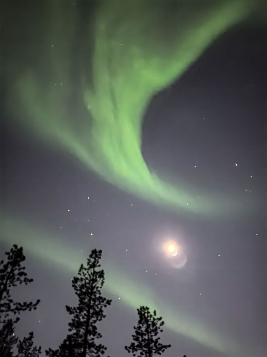 Авторы фото: Марина Юдина, Ившин Павел 