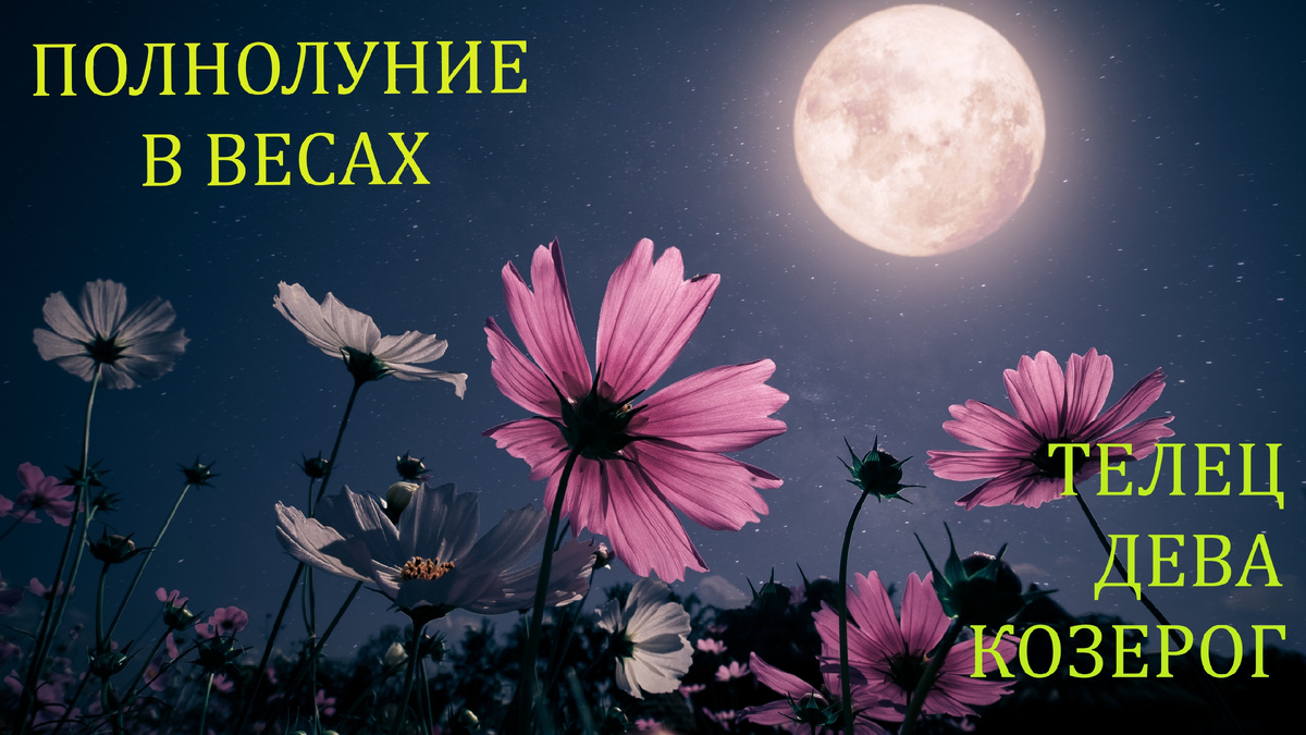 Полнолуние в Весах. Фото gismeteo.ru