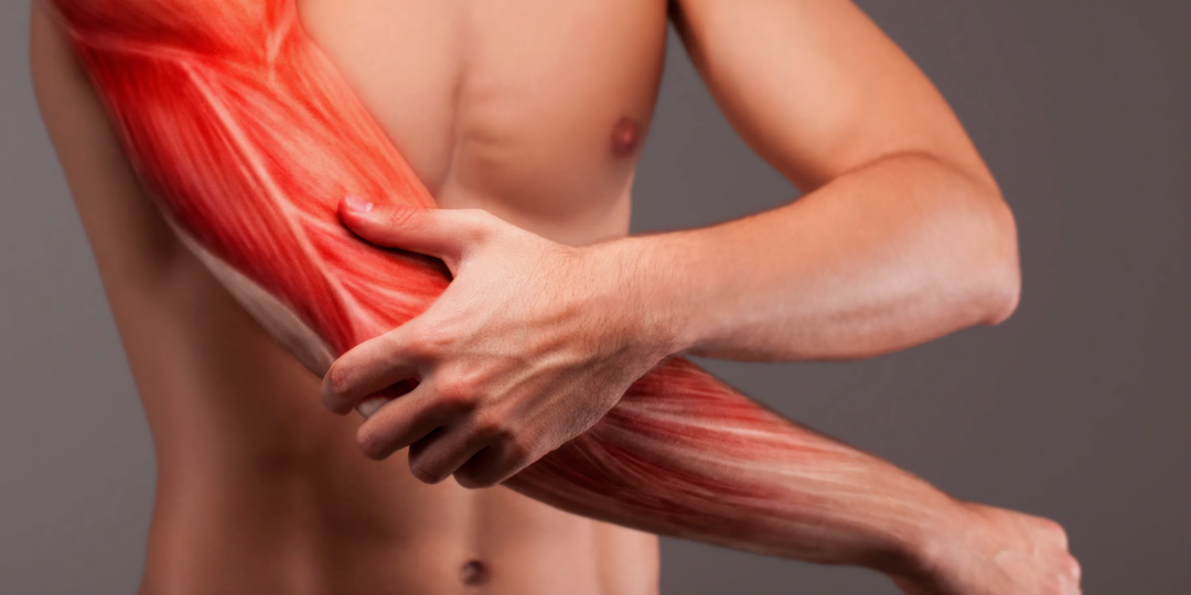 Статины, дефицит магния или стресс? Врач рассказала – почему болят мышцы в разных возрастных группах