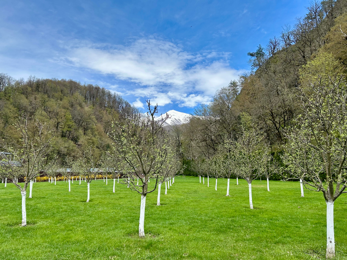 Фото автора 