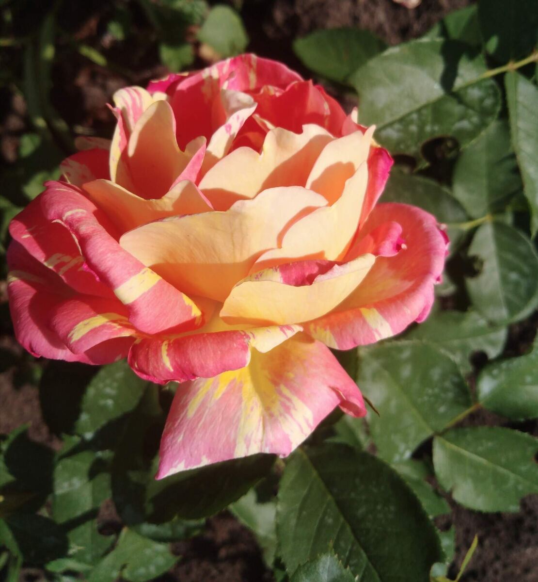 фото Татьяны