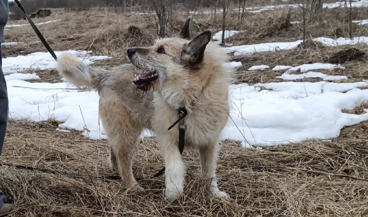 Грета в шоке:" Это правда?!"
