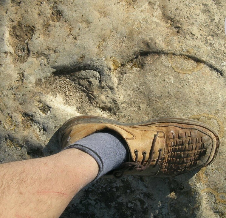 Один из следов, найденных российскими исследователями в Турции. (Фото: sun9-45.userapi.com).