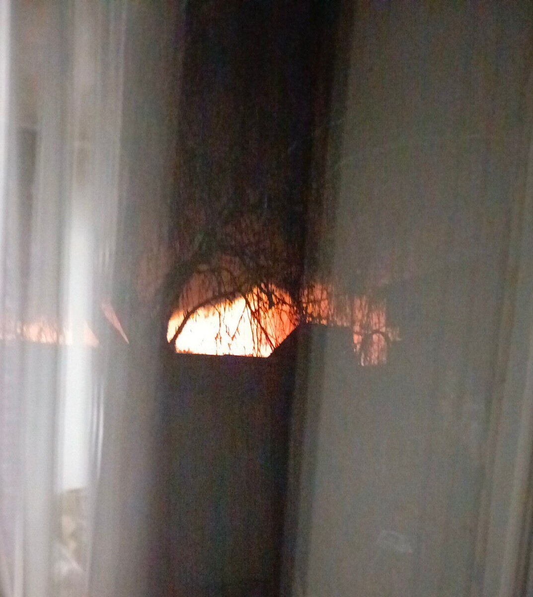 Фото из окна 