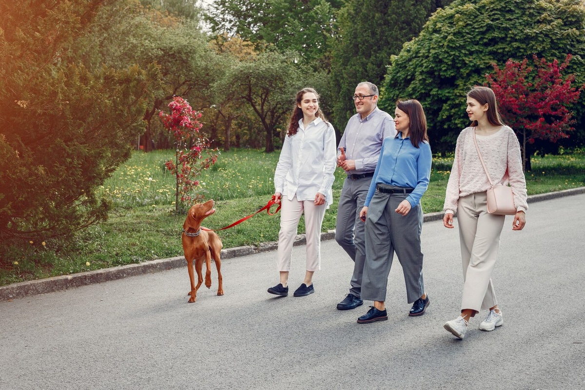 Источник изображения Freepik