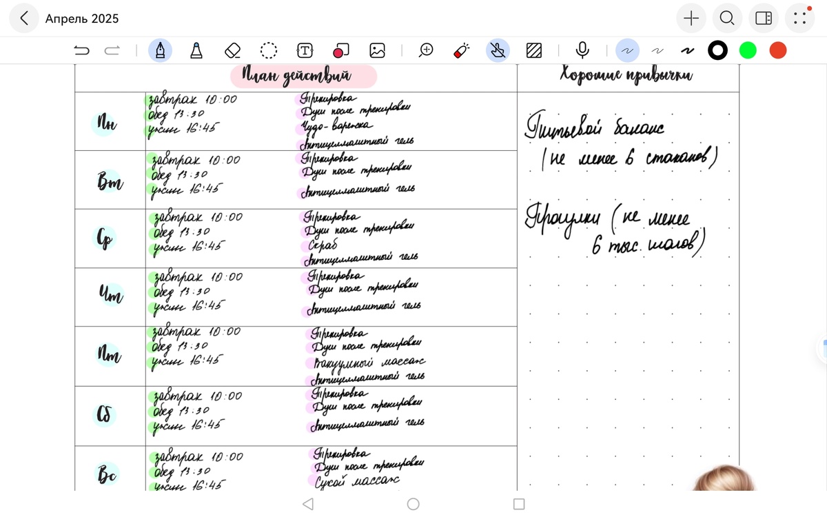 План действий и привычки