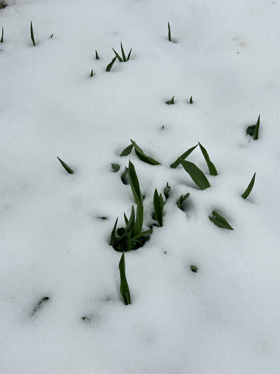 Это вроде как анонс будущей статьи.