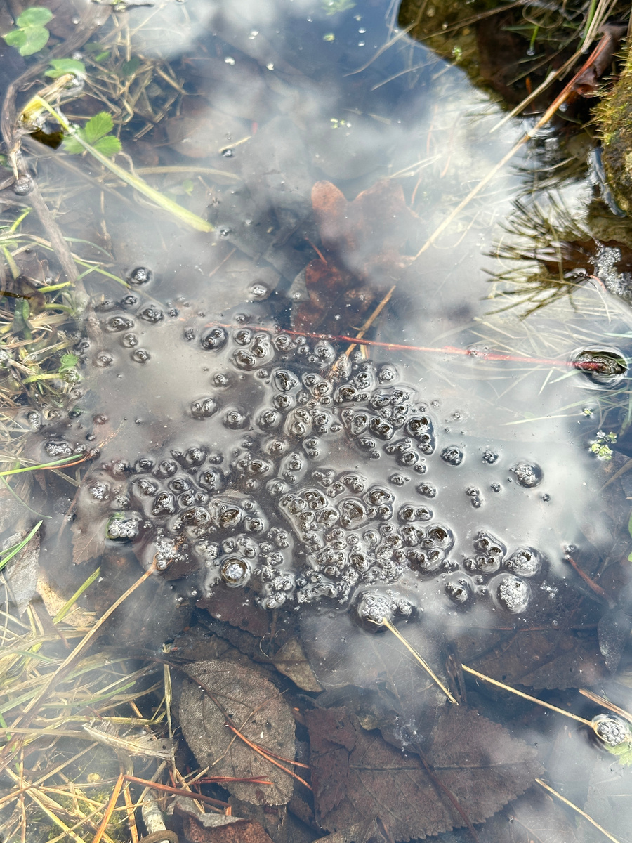 Кладка небольшая, но оцените угол зрения! Под обычным углом зрения ее не сразу и заметишь.