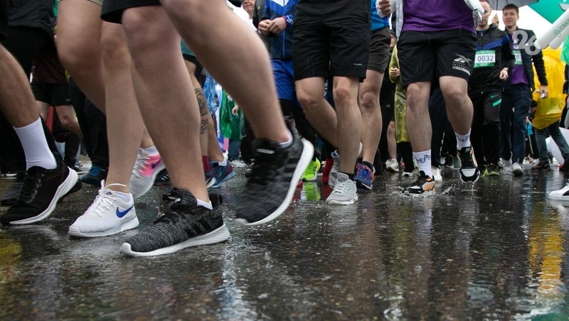      Фото: ИА «Победа26»