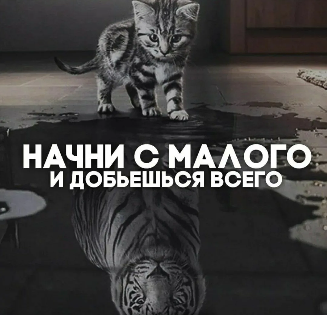 Начинать надо с малого!