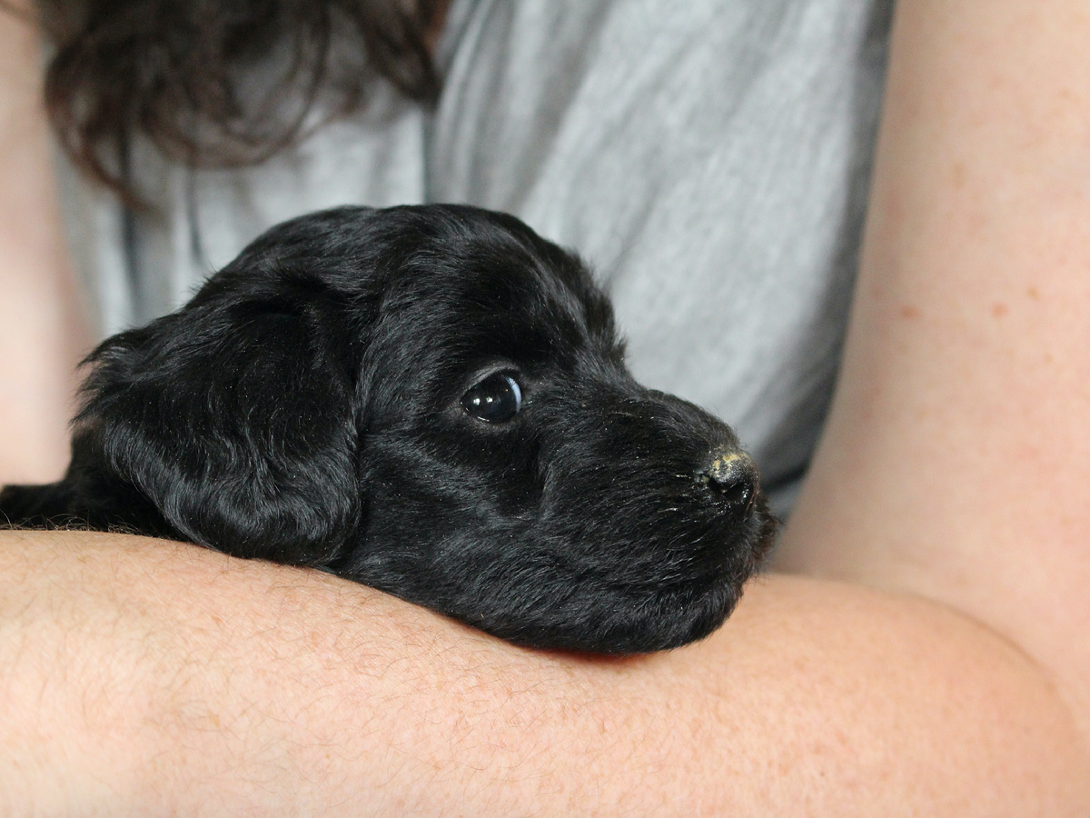 Фотография: mgifford, CC BY-NC 2.0