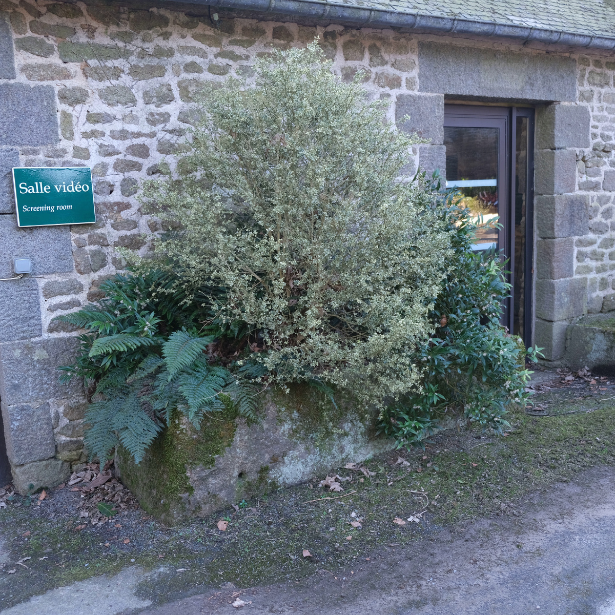 Каменое корыто при входе в парк с растущими в нем растениями