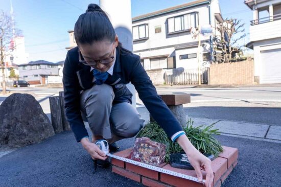 Самый маленький парк в Японии. Фото: Яндекс картинки