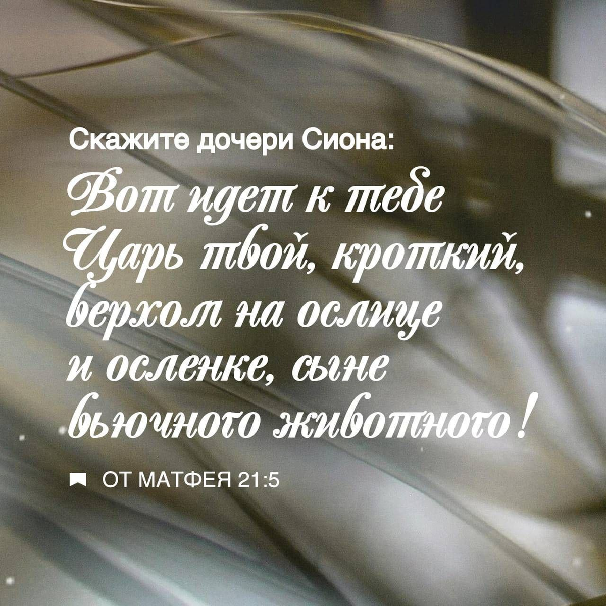 Матфея 21:5 НРП