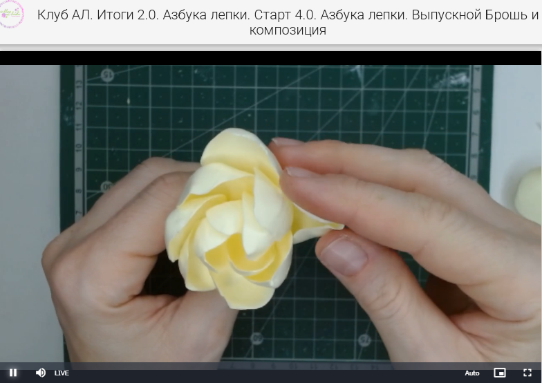 Красивый цветок гардении, но нам еще нравятся полураскрытые бутоны с закрученными серединками