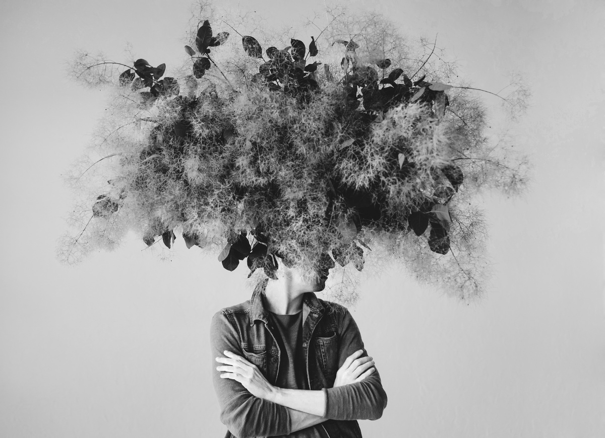 Психика и реальность