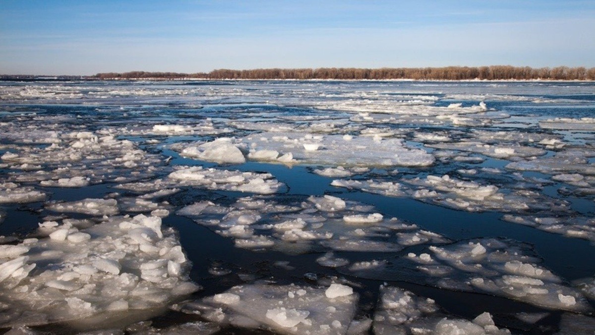 Правообладатель данного фото: Яндекс Картинки